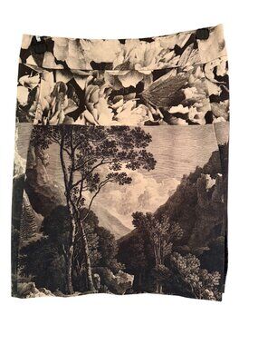 Dries Van Noten Womens Pencil Skirt Size 38 Lined Toile de Jouy Printed Classic